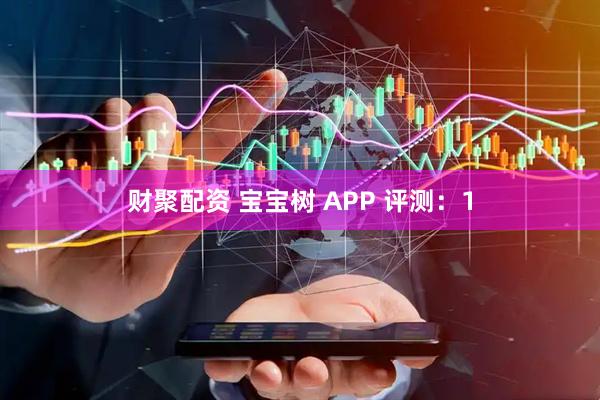 财聚配资 宝宝树 APP 评测：1