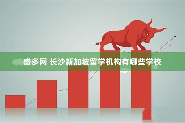 盛多网 长沙新加坡留学机构有哪些学校