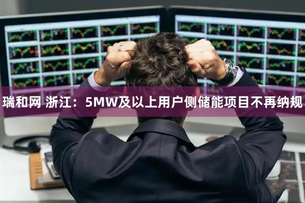 瑞和网 浙江：5MW及以上用户侧储能项目不再纳规